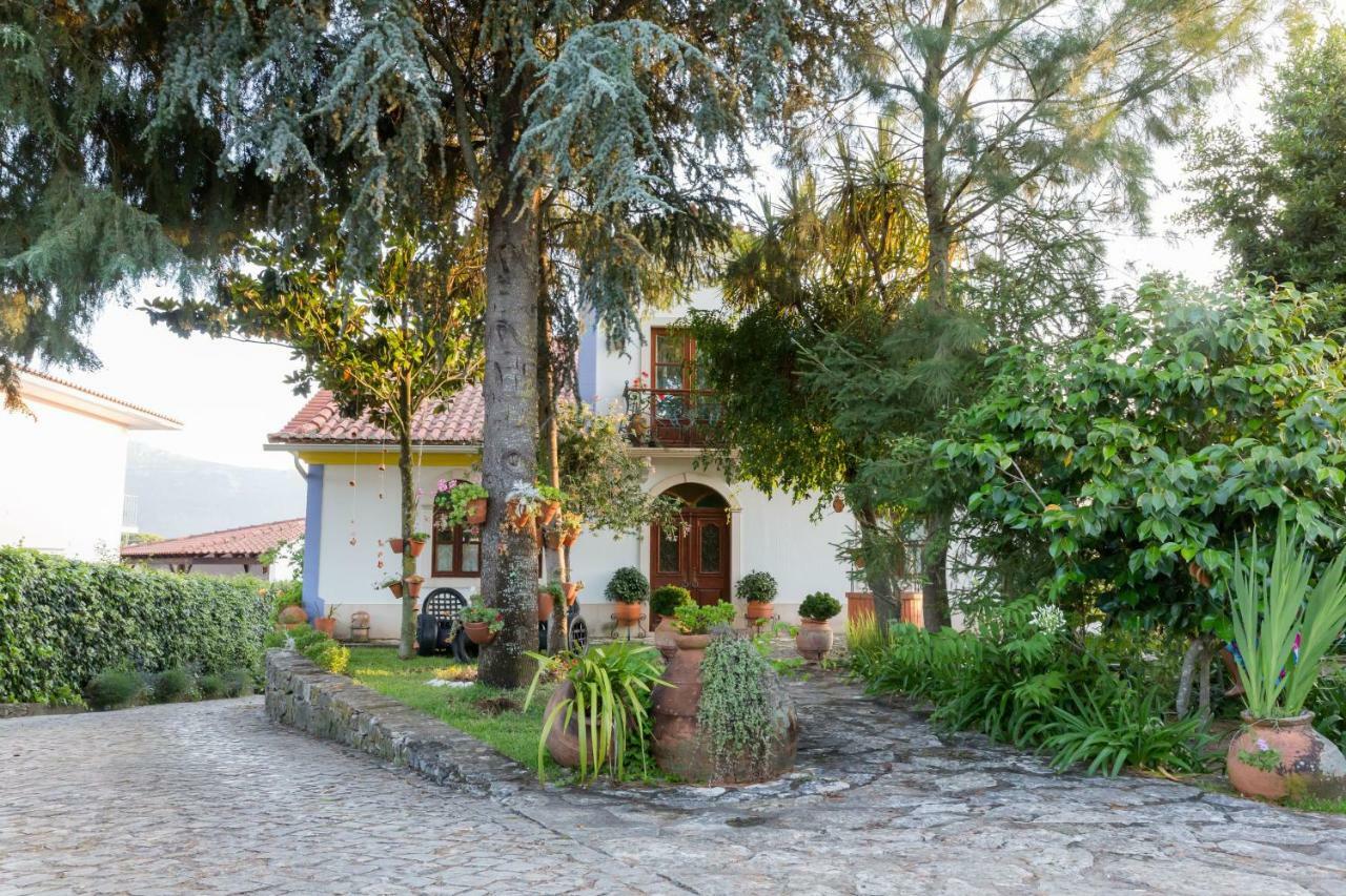 Casal Dos 5 Hotel Minde Buitenkant foto